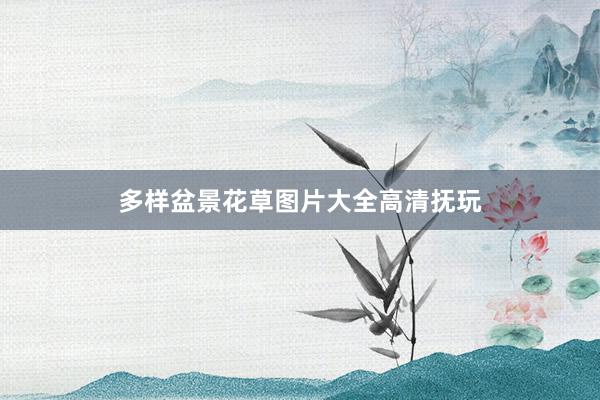 多样盆景花草图片大全高清抚玩