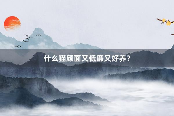 什么猫颜面又低廉又好养？