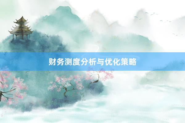 财务测度分析与优化策略
